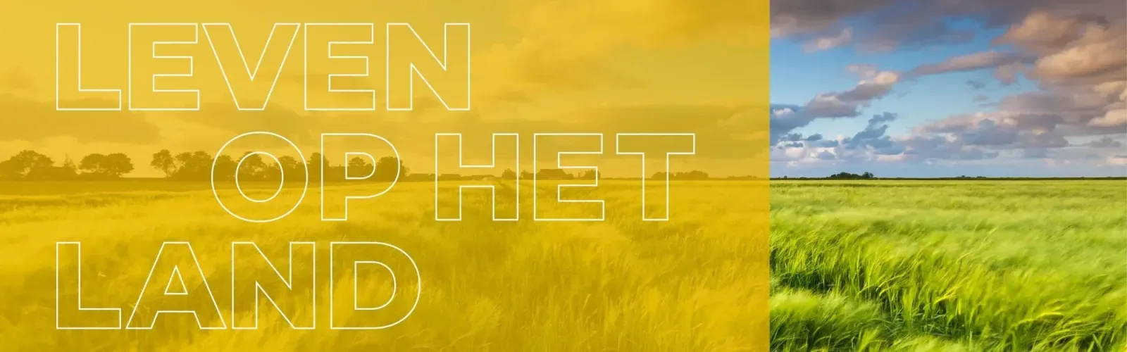 Team foto van Bert Stadman Makelaardij | NVM