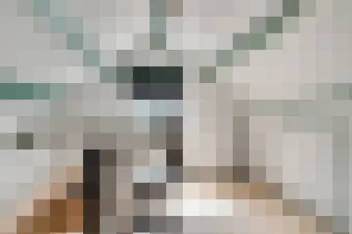 Bertiliastraat 2 A Weert thumbnail 25