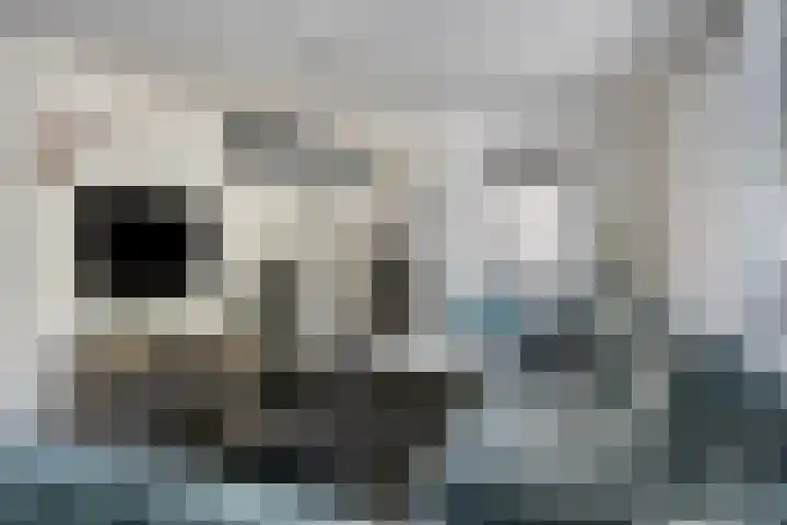 Beryl 14 Eindhoven thumbnail 14