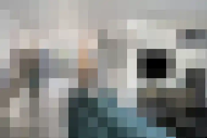 Beryl 14 Eindhoven thumbnail 17