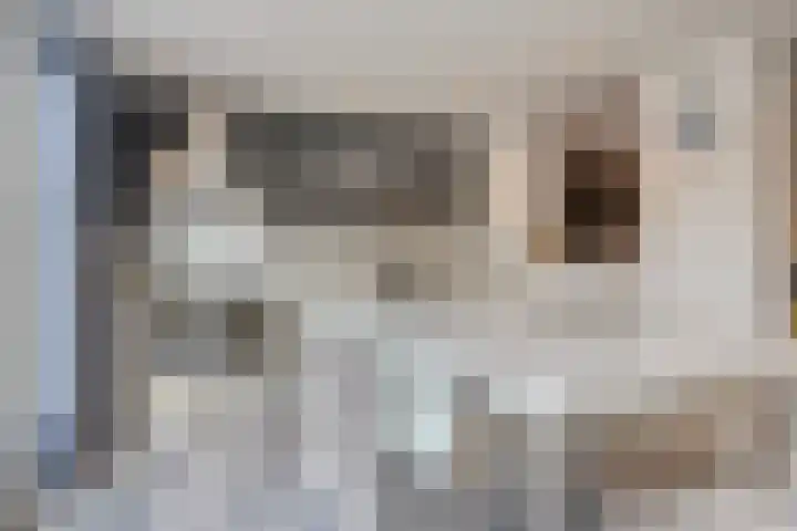 Beryl 14 Eindhoven thumbnail 21