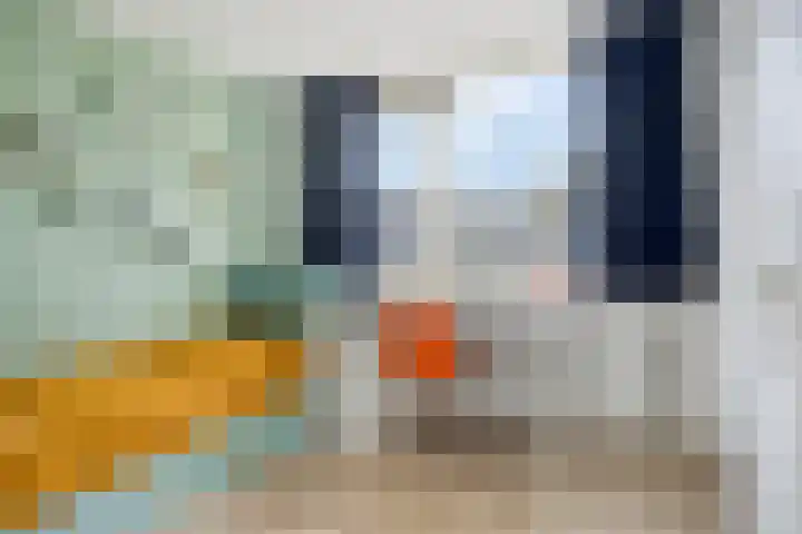 Beryl 14 Eindhoven thumbnail 27