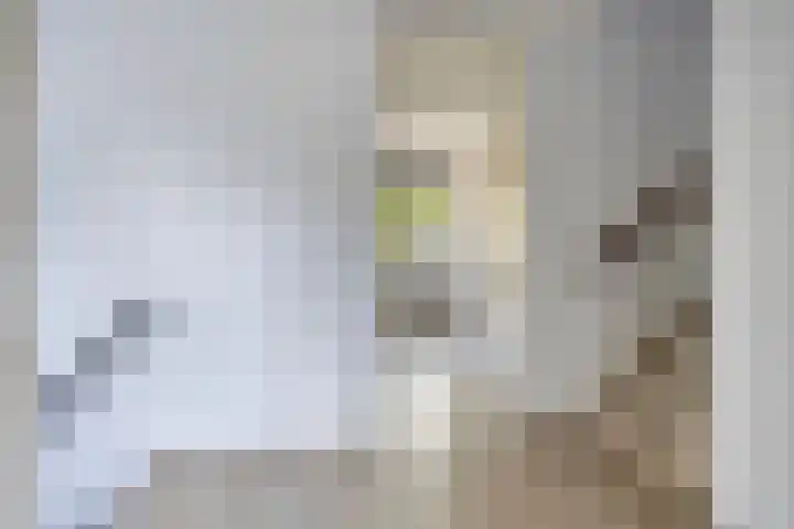 Beryl 14 Eindhoven thumbnail 33