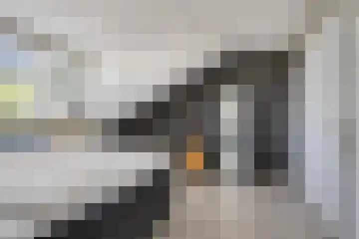 Beryl 14 Eindhoven thumbnail 34