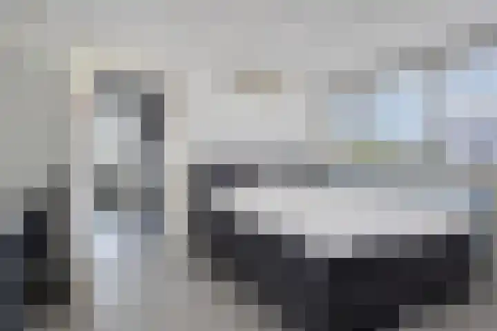 Beryl 14 Eindhoven thumbnail 35