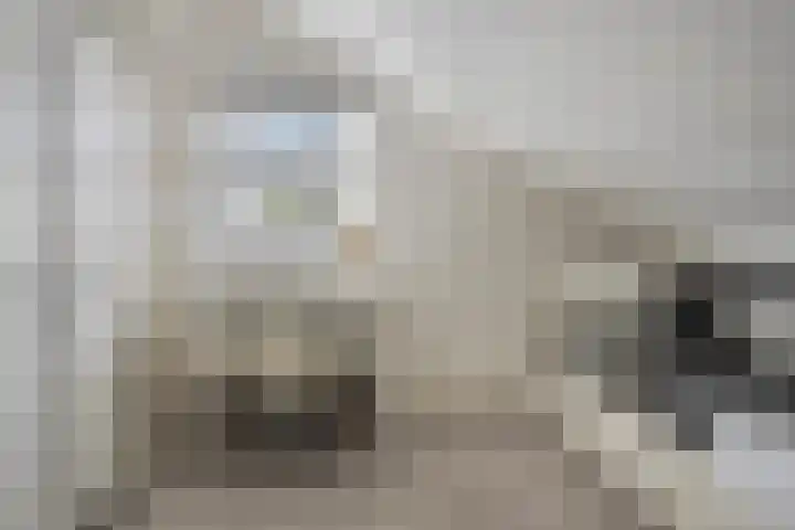 Beryl 14 Eindhoven thumbnail 37