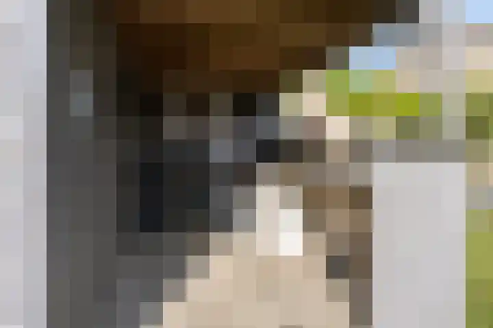 Beryl 14 Eindhoven thumbnail 44
