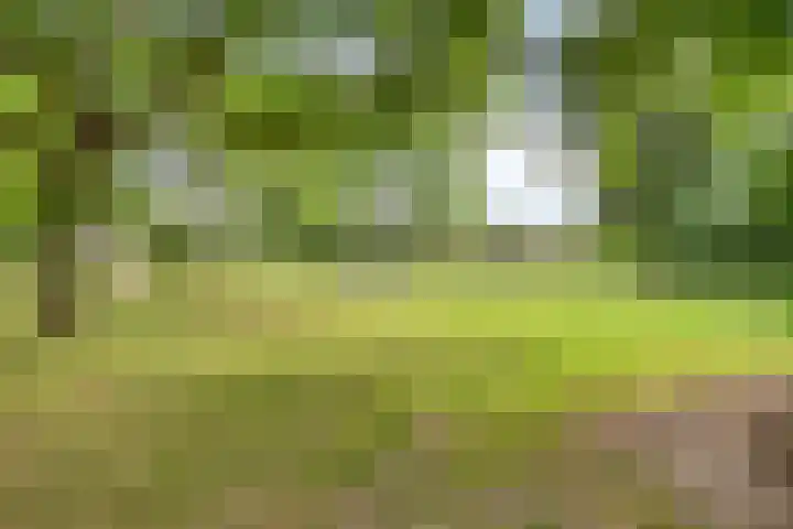 Beryl 14 Eindhoven thumbnail 46