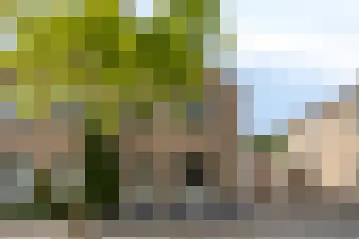 Beryl 14 Eindhoven thumbnail 6