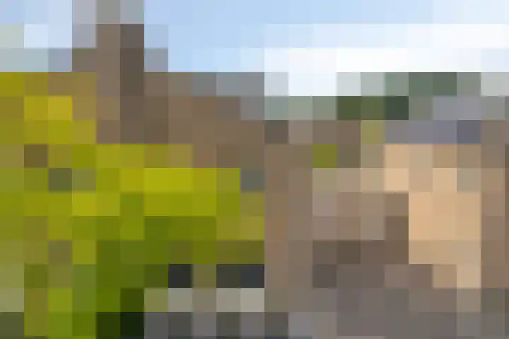 Beryl 14 Eindhoven thumbnail 9