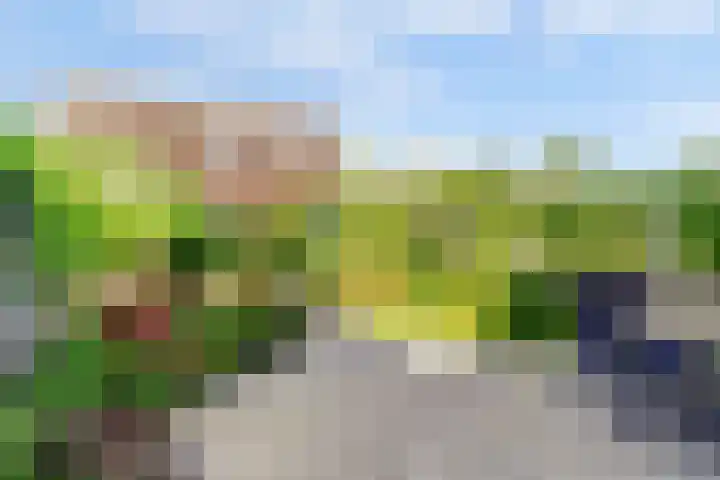 Beryl 45 Zoetermeer thumbnail 18