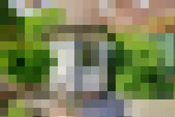 Beryl 45 Zoetermeer thumbnail 20