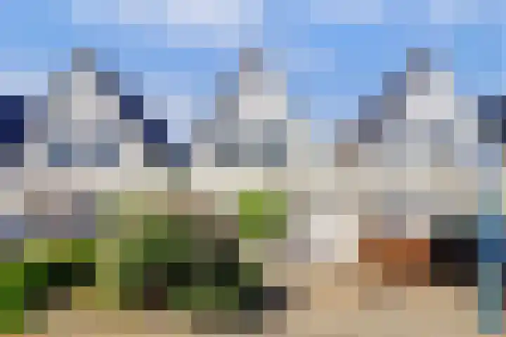 Beryl 45 Zoetermeer thumbnail 47