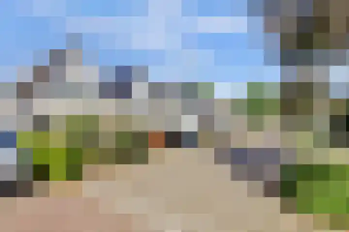 Beryl 45 Zoetermeer thumbnail 6