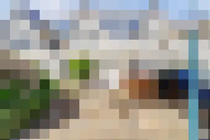 Beryl 45 Zoetermeer thumbnail 8