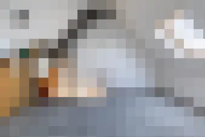 Beryldreef 3 Emmen thumbnail 15
