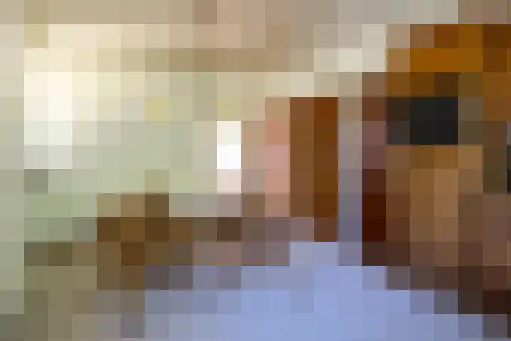 Besselaar 13 A Gemonde thumbnail 13