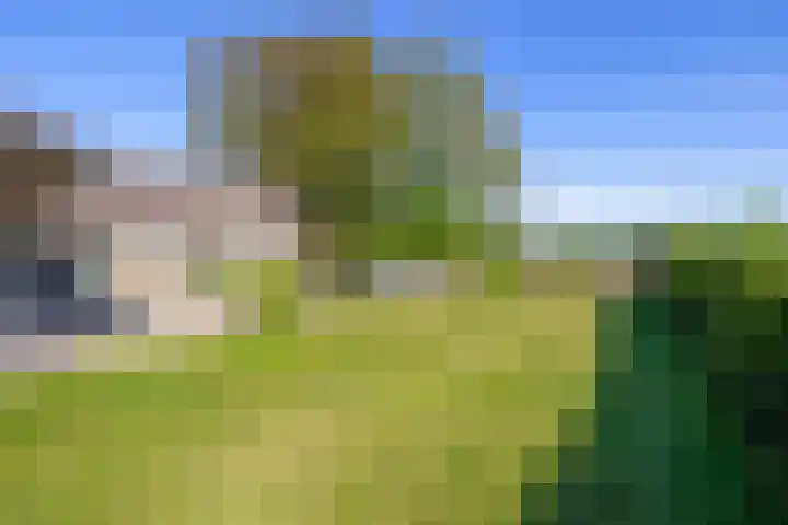Besselaar 13 A Gemonde thumbnail 27
