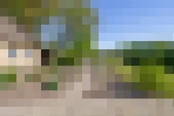 Besselaar 13 A Gemonde thumbnail 32