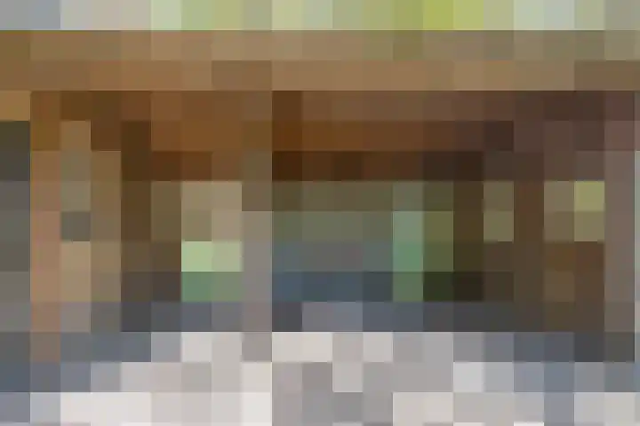 Besselaar 13 A Gemonde thumbnail 34