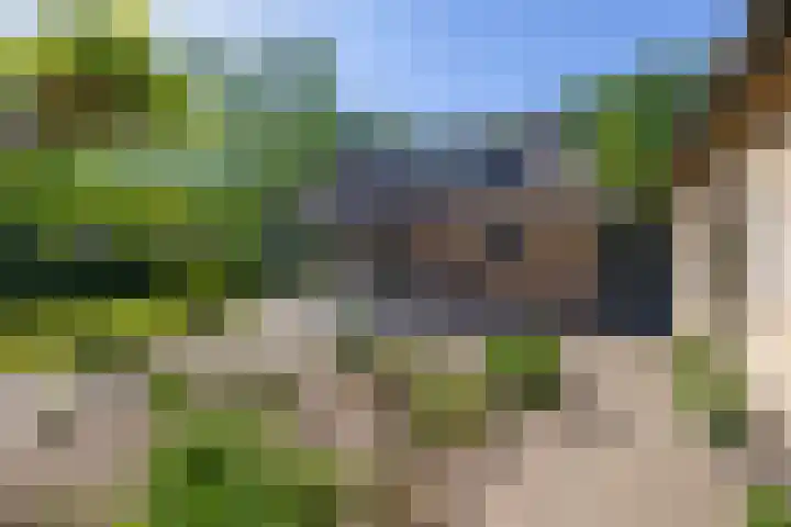 Besselaar 13 A Gemonde thumbnail 35