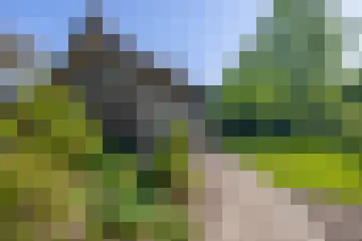 Besselaar 13 A Gemonde thumbnail 36