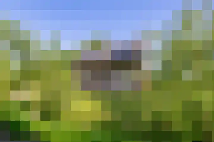 Besselaar 13 A Gemonde thumbnail 37