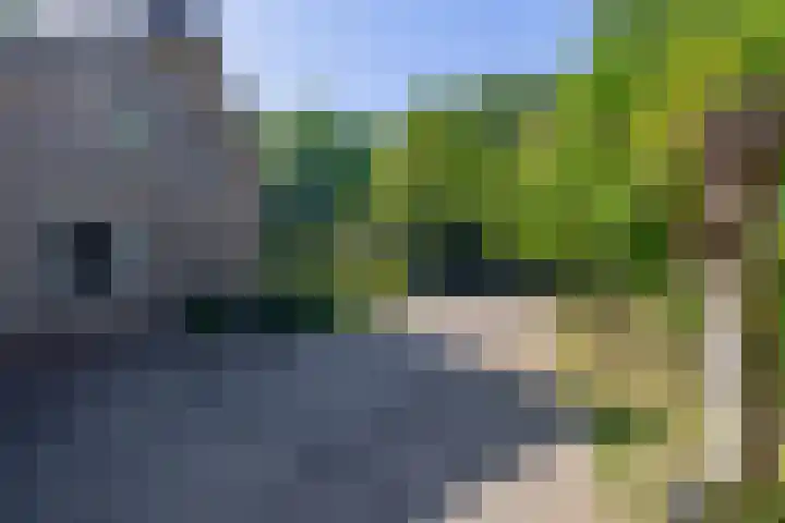 Besselaar 13 A Gemonde thumbnail 40