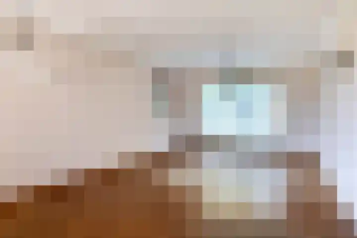 Besselaar 13 A Gemonde thumbnail 7