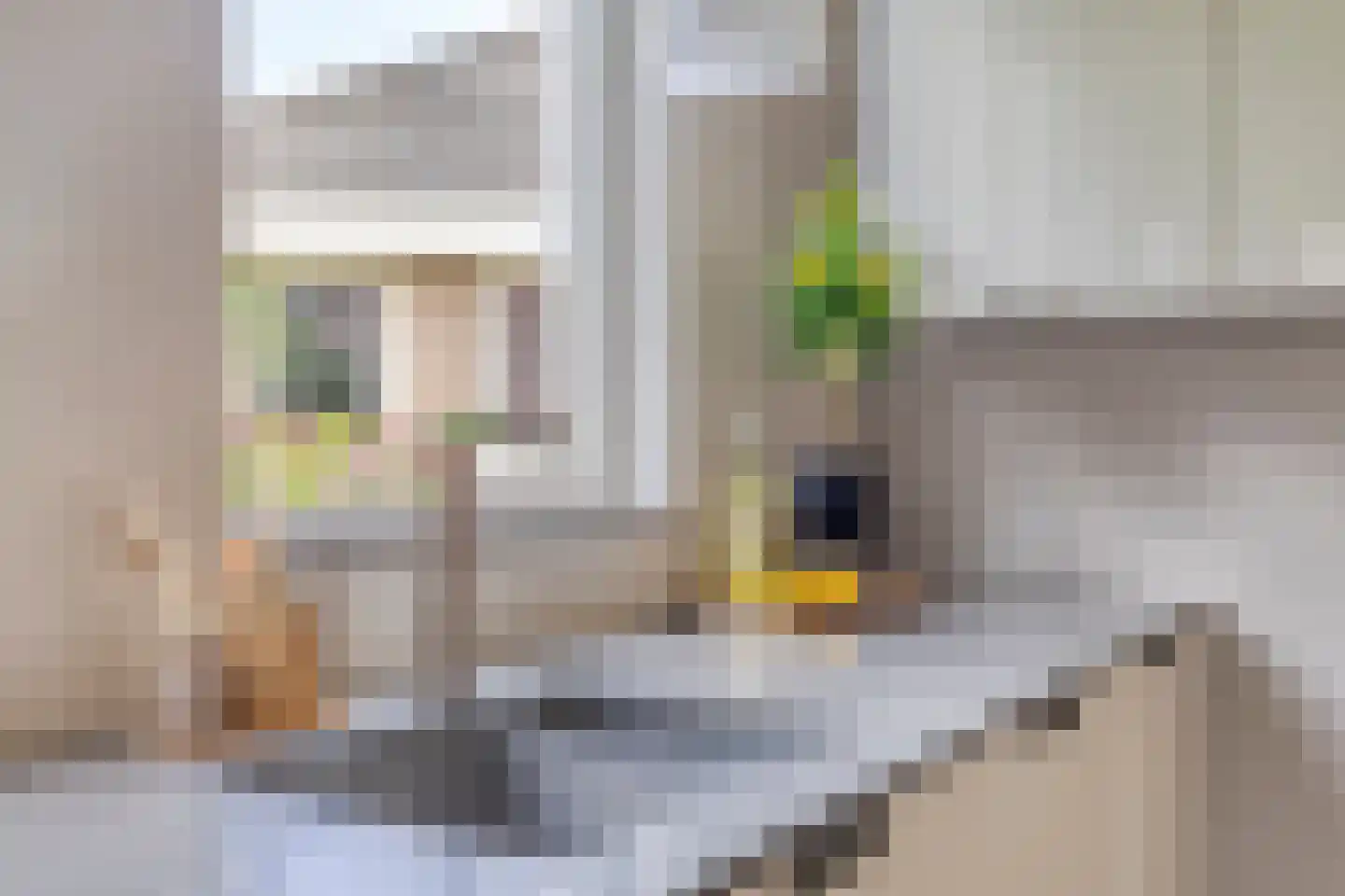 Besselaar 4 Veghel thumbnail 14
