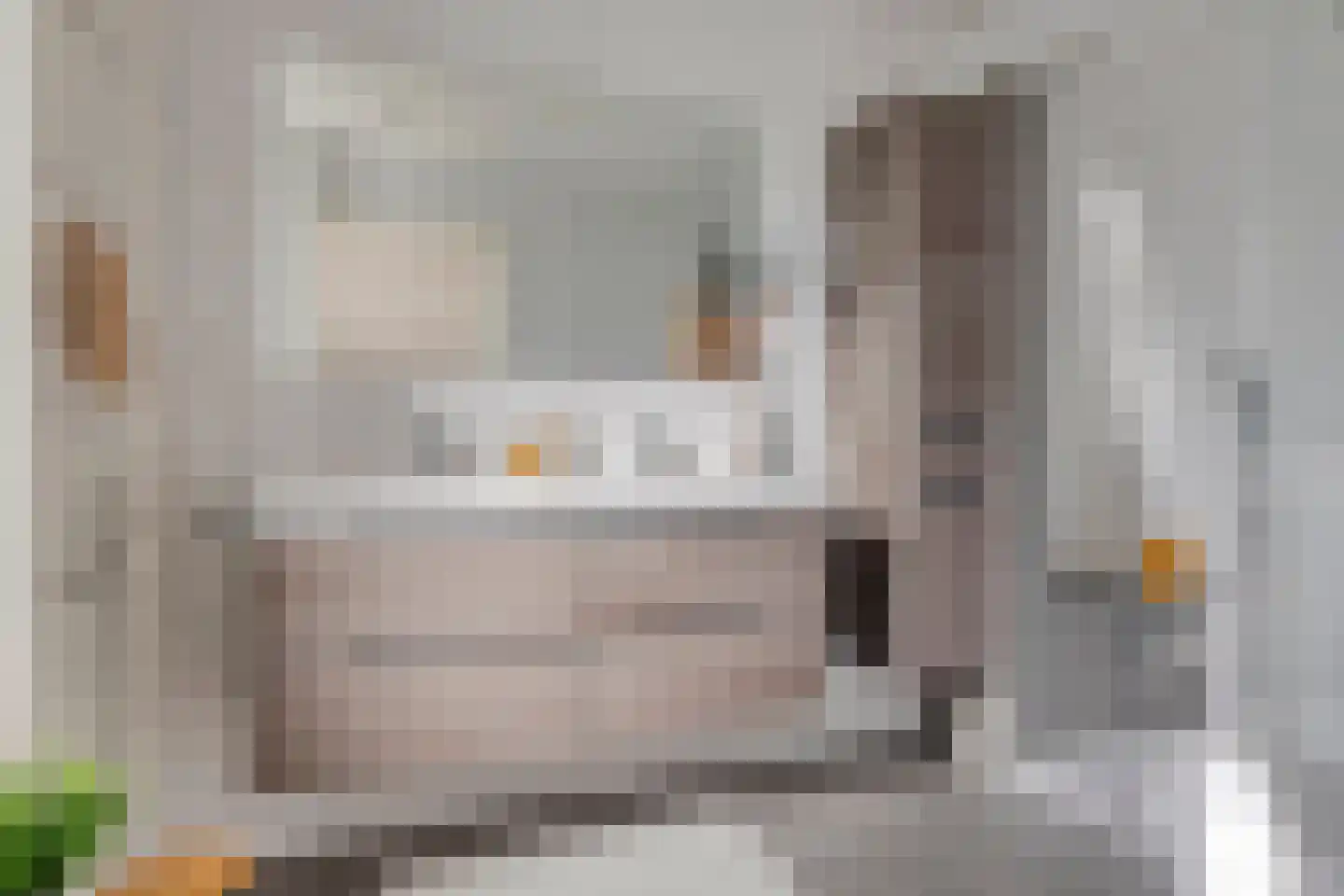 Besselaar 4 Veghel thumbnail 23