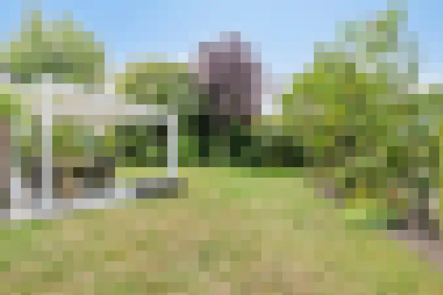 Besselaar 4 Veghel thumbnail 35
