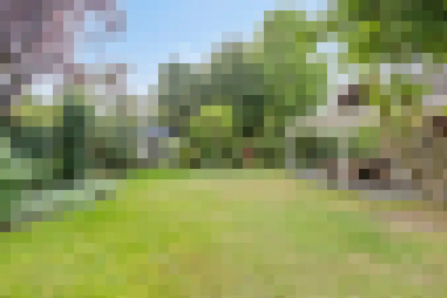 Besselaar 4 Veghel thumbnail 41
