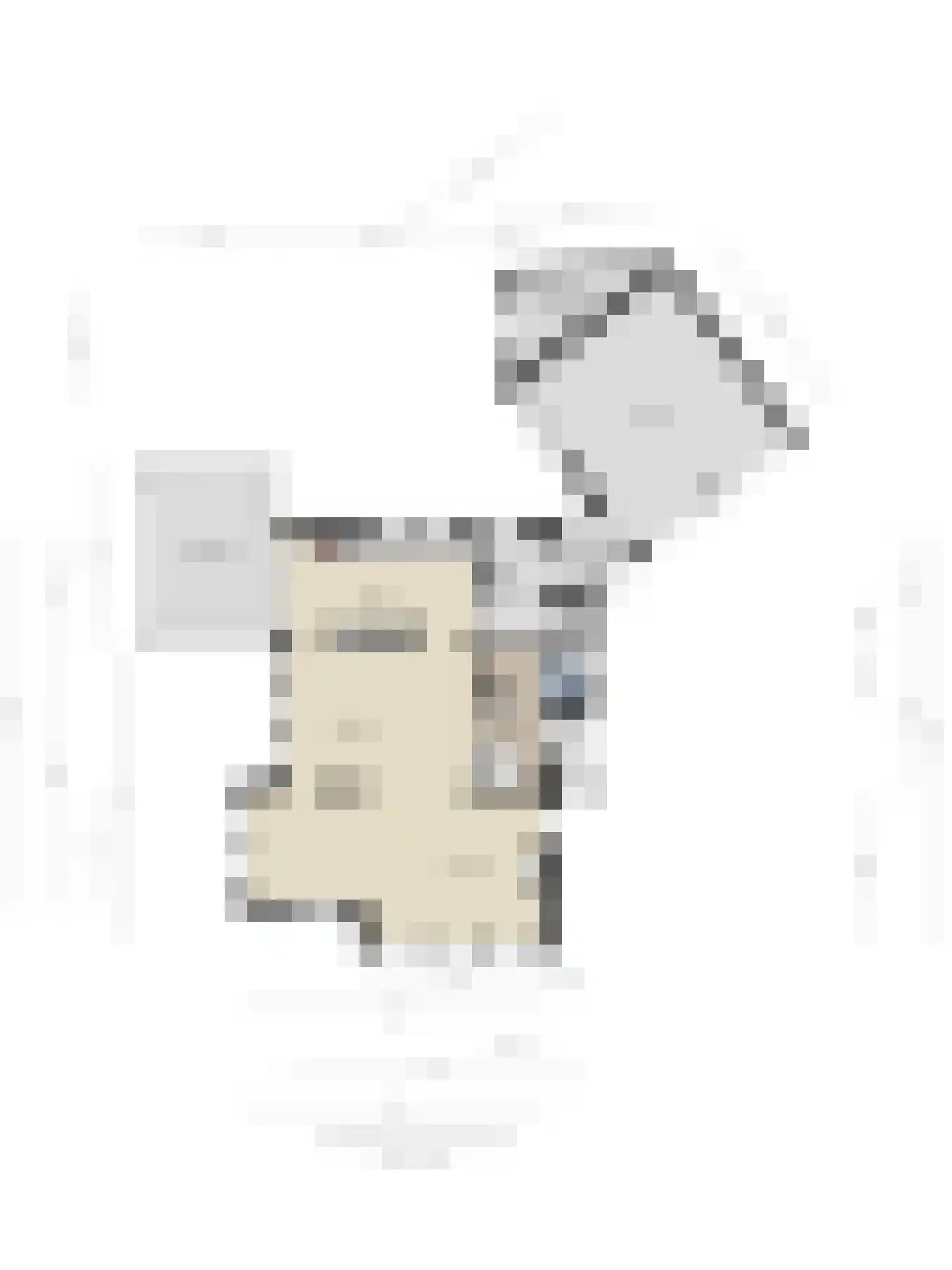 Besselaar 4 Veghel thumbnail 51