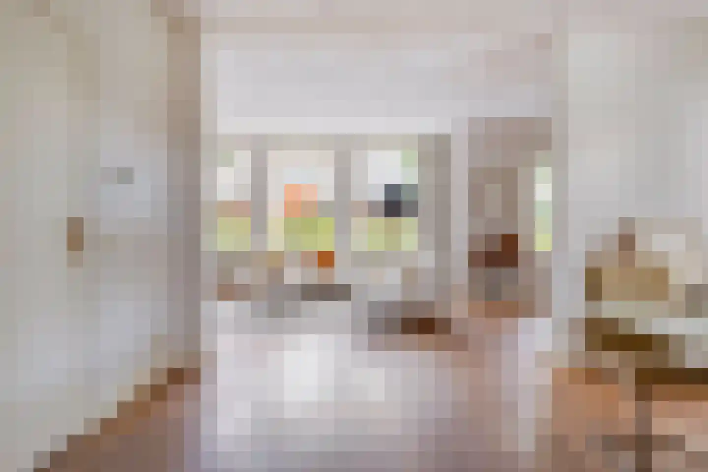 Besselaar 4 Veghel thumbnail 6