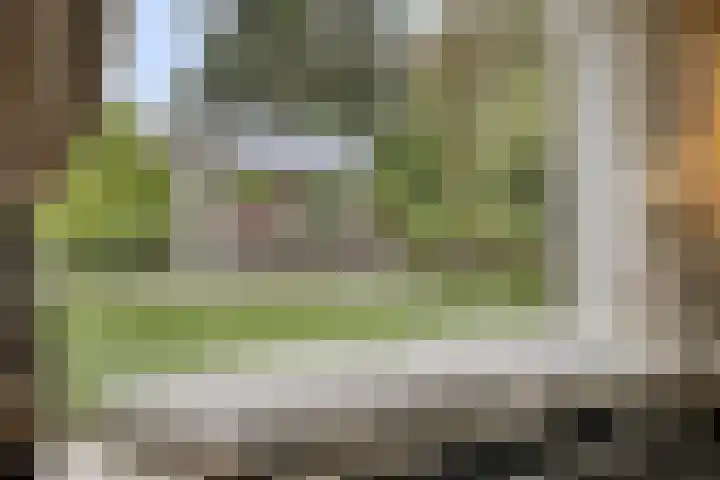 Besselaar 7 Veghel thumbnail 10