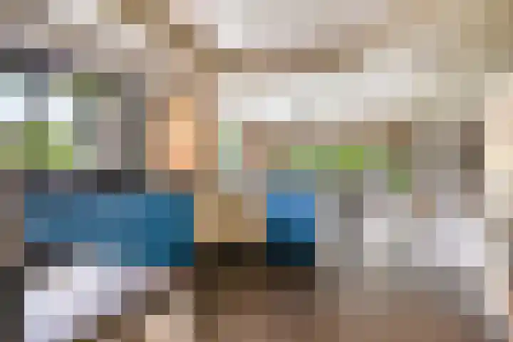 Besselaar 7 Veghel thumbnail 13
