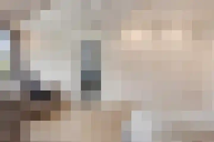 Besselaar 7 Veghel thumbnail 17