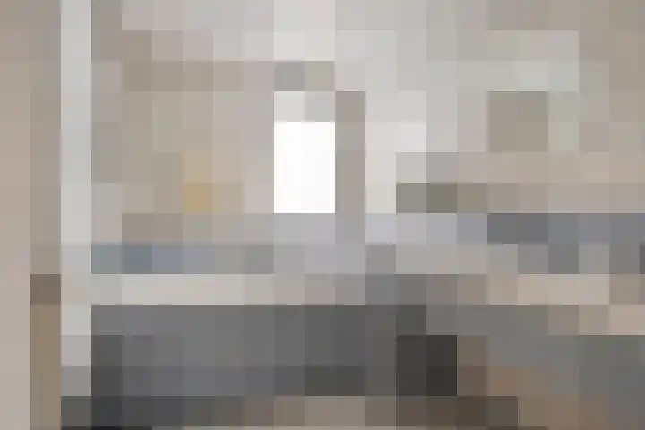 Besselaar 7 Veghel thumbnail 18