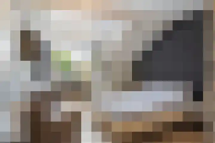 Besselaar 7 Veghel thumbnail 23