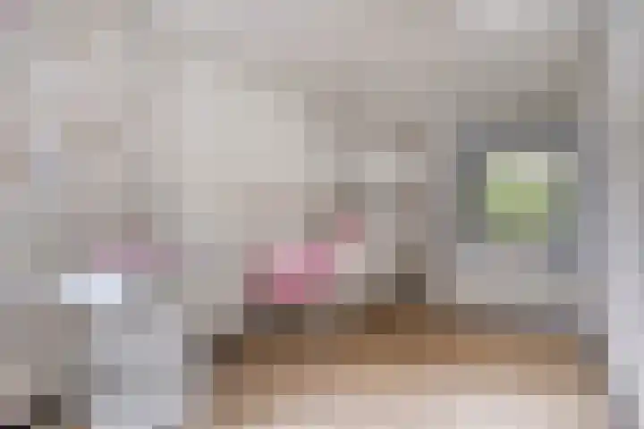 Besselaar 7 Veghel thumbnail 30