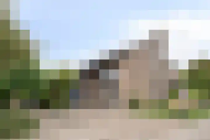 Besselaar 7 Veghel thumbnail 32