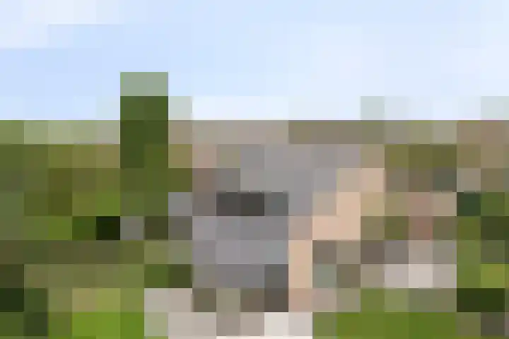 Besselaar 7 Veghel thumbnail 33