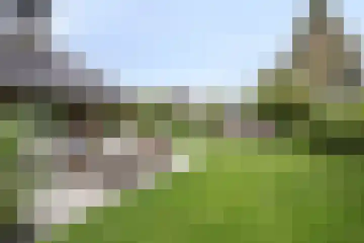 Besselaar 7 Veghel thumbnail 34