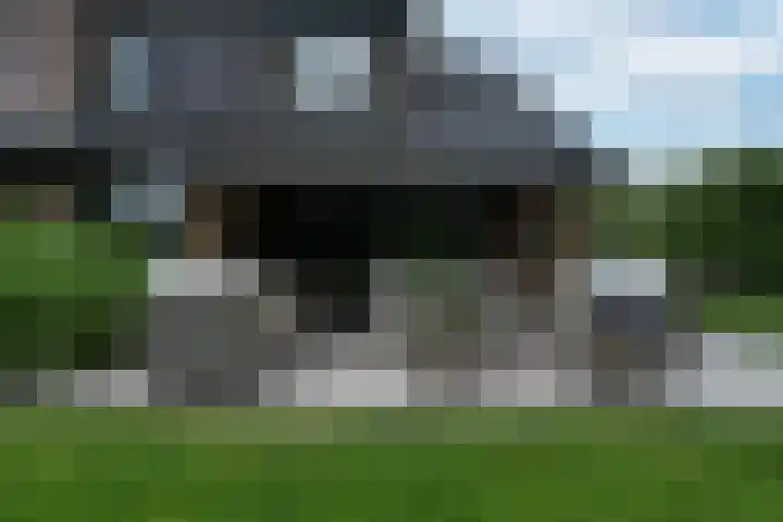 Besselaar 7 Veghel thumbnail 35