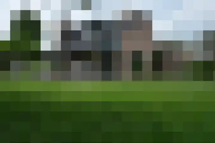 Besselaar 7 Veghel thumbnail 36