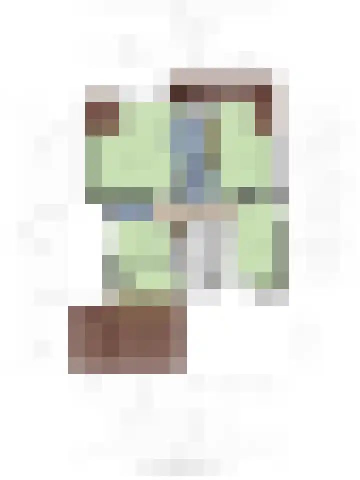 Besselaar 7 Veghel thumbnail 38