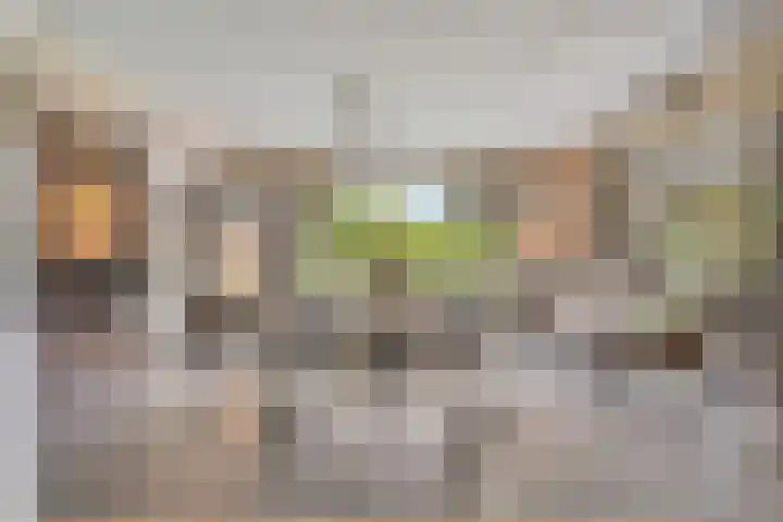Besselaar 7 Veghel thumbnail 4