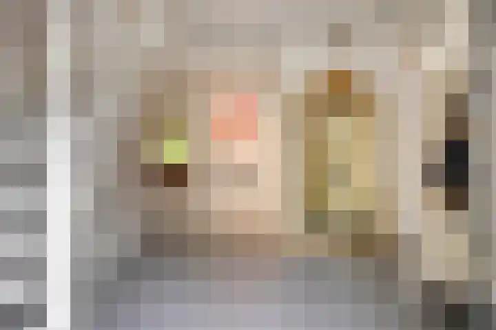 Besselaar 7 Veghel thumbnail 5