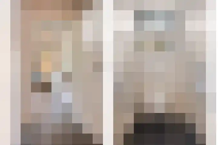 Besselaar 7 Veghel thumbnail 6
